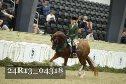 24R13_04318 thumbnail