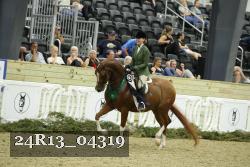 24R13_04319 thumbnail