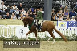 24R13_04322 thumbnail
