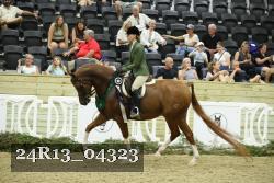 24R13_04323 thumbnail