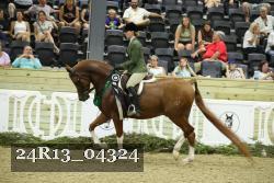 24R13_04324 thumbnail