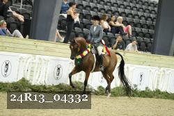 24R13_04332 thumbnail