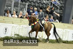 24R13_04333 thumbnail
