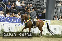 24R13_04334 thumbnail