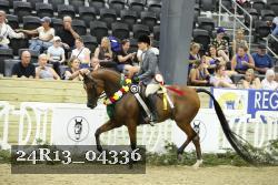 24R13_04336 thumbnail