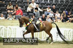 24R13_04337 thumbnail