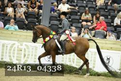24R13_04338 thumbnail