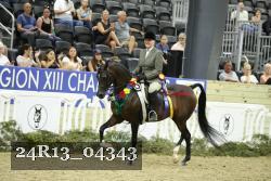 24R13_04343 thumbnail