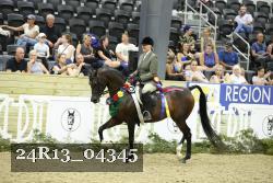 24R13_04345 thumbnail