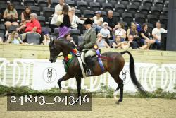 24R13_04346 thumbnail