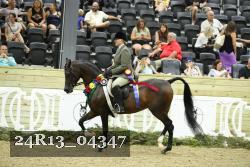 24R13_04347 thumbnail