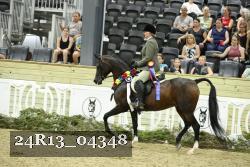 24R13_04348 thumbnail