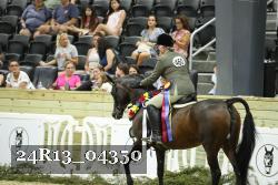 24R13_04350 thumbnail