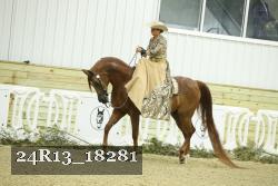 24R13_18281 thumbnail