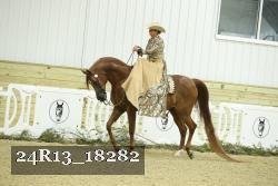 24R13_18282 thumbnail