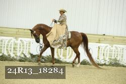 24R13_18284 thumbnail