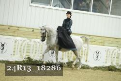 24R13_18286 thumbnail
