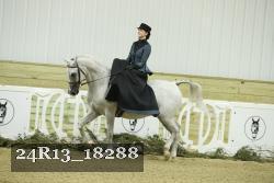 24R13_18288 thumbnail