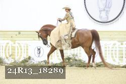 24R13_18289 thumbnail