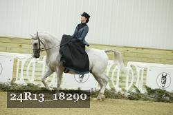 24R13_18290 thumbnail