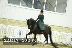 24R13_18293 thumbnail