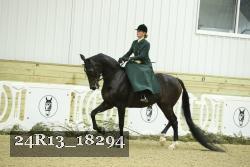 24R13_18294 thumbnail