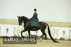24R13_18295 thumbnail