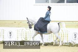 24R13_18296 thumbnail