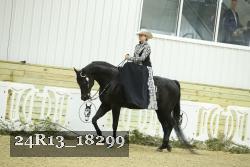 24R13_18299 thumbnail