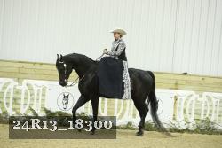 24R13_18300 thumbnail