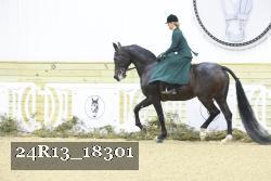 24R13_18301 thumbnail