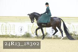 24R13_18302 thumbnail