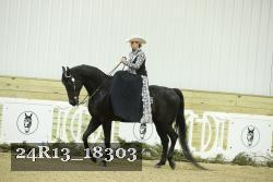 24R13_18303 thumbnail