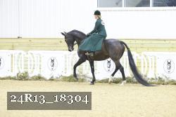 24R13_18304 thumbnail