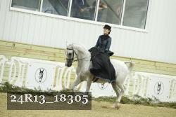 24R13_18305 thumbnail