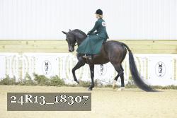 24R13_18307 thumbnail