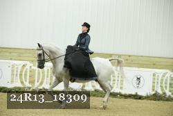 24R13_18309 thumbnail