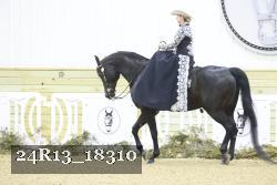 24R13_18310 thumbnail