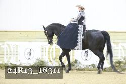 24R13_18311 thumbnail