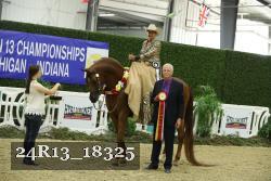 24R13_18325 thumbnail