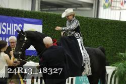 24R13_18327 thumbnail