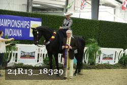 24R13_18329 thumbnail