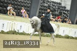24R13_18334 thumbnail