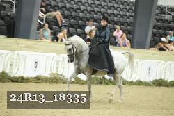 24R13_18335 thumbnail