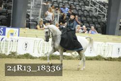 24R13_18336 thumbnail