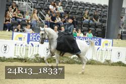 24R13_18337 thumbnail
