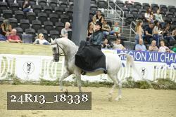 24R13_18338 thumbnail