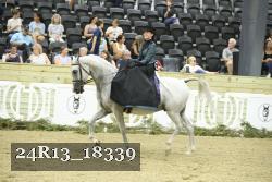 24R13_18339 thumbnail