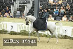 24R13_18341 thumbnail