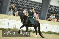 24R13_18343 thumbnail